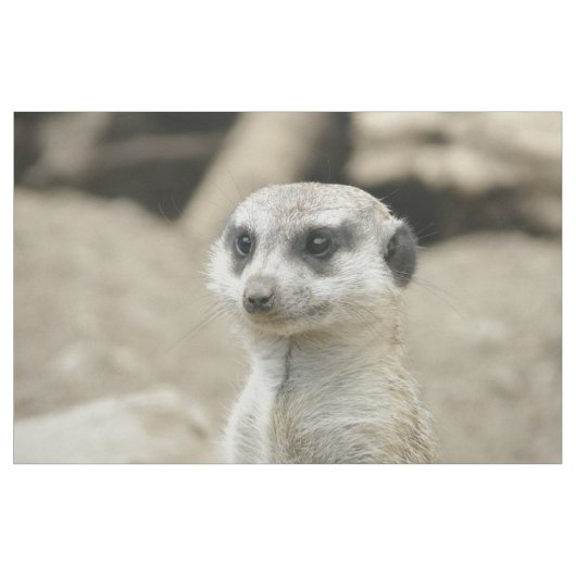 Tissu Meerkat (Yard)