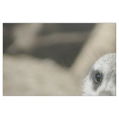 Tissu Meerkat (Fat Quarter)