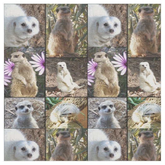 Tissu Meerkats Photo Collage de coton peint (Fermer)
