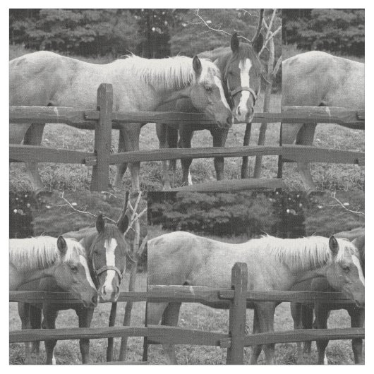 Tissu Meilleurs amis (Fermer)