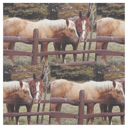 Tissu Meilleurs amis (Fermer)