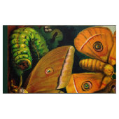 Tissu Mite en soie (Fat Quarter)