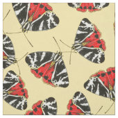 Tissu Mois 3 (Échantillon)