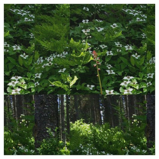 Tissu Mon trillium canadien (Échantillon)