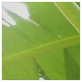 Tissu Monkeys Banana Tree Fabric (Échantillon)