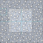 Tissu mono wilderdot (Carreau)