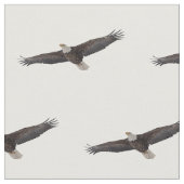 Tissu Montée d'Eagle chauve (Fermer)