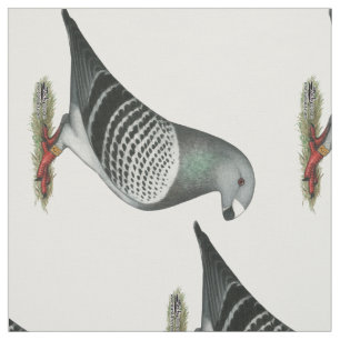 Tissu Montrez à coureur le pigeon bleu de contrôleur