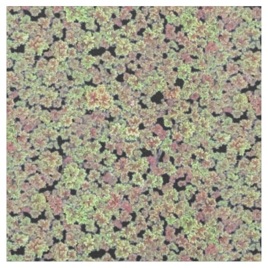 Tissu Moss de fée - V2 (Fermer)