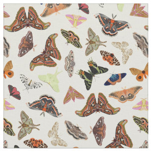 Tissu Moths insectes belle nature