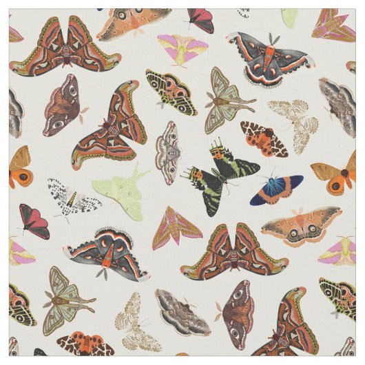 Tissu Moths insectes belle nature (Fermer)