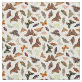 Tissu Moths insectes belle nature (Échantillon)