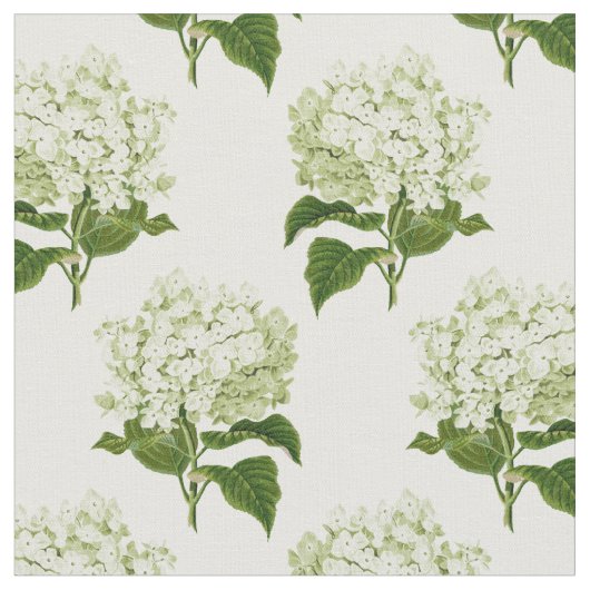 Tissu Motif à fleurs d'Hydrangea blanc et vert (Fermer)