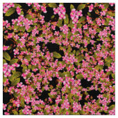 Tissu Motif à fleurs roses (Fermer)