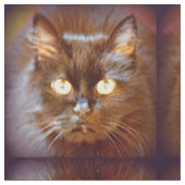Tissu motif de chat noir (Fermer)