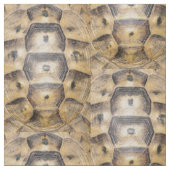 Tissu Motif de coque Tortoise (Détail)
