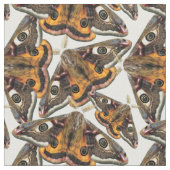 Tissu Motif de mite (Fermer)