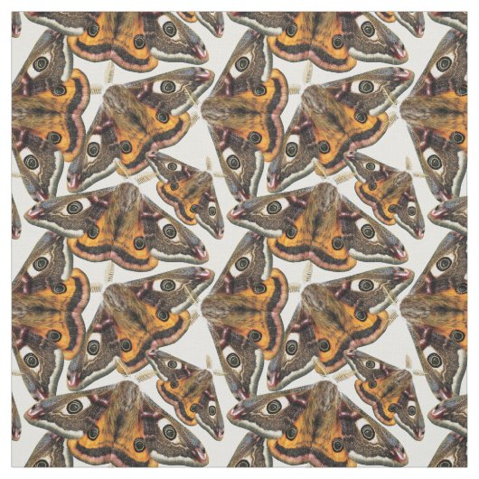 Tissu Motif de mite (Échantillon)