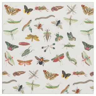 Tissu Motif d'illustration coloré d'insectes Vintages