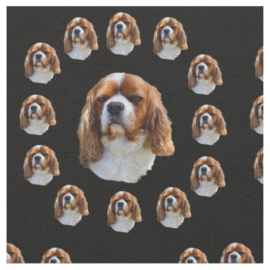 Tissu Motif du roi Charles Spaniel, (Fermer)