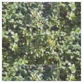 Tissu Motif feuille vert (Détail)
