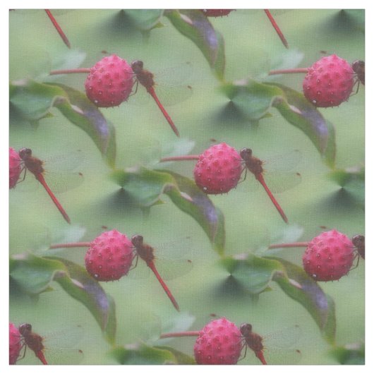 Tissu Motif naturel de l'insecte des libellules rouges (Échantillon)