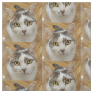 Tissu Motif photo de chat de chien de compagnie personna