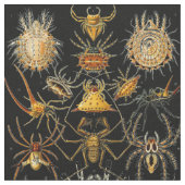Tissu motif vintage Spiders (Fermer)