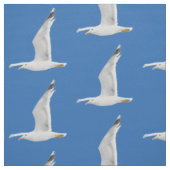 Tissu Mouette volante (Échantillon)