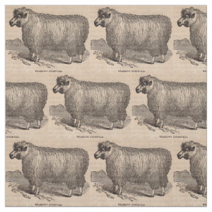 Tissu Moutons d'un an de Cotswold d'impression du 19ème