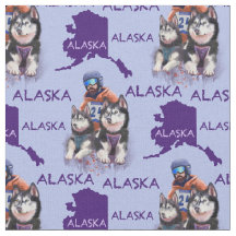 Musher D'Alaska Et Ses Chiens