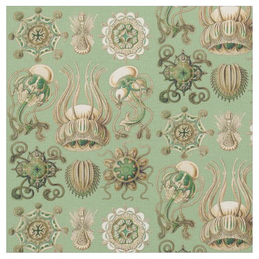 Tissu Narcomedusae d'Ernst Haeckel (Fermer)