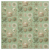 Tissu Narcomedusae d'Ernst Haeckel (Échantillon)