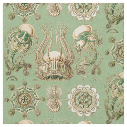 Tissu Narcomedusae d'Ernst Haeckel (Fermer)