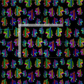Tissu Néphrologie des reins (Carreau)