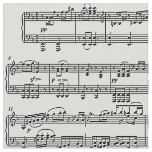 Tissu notes musicales / symboles musicaux