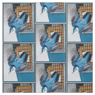 Tissu Nuthatch à poitrine blanche en neige - Photo origi