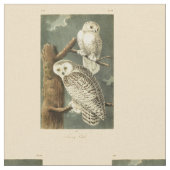Tissu OEuvre d'OEuf Audubon (Fermer)