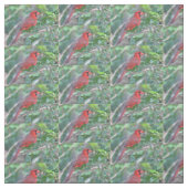 Tissu Oiseau cardinal rouge (Échantillon)