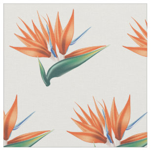 Tissu Oiseau de paradis, fleur exotique de strelitzia