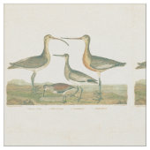 Tissu Oiseaux de marais Courlis Oiseaux (Fermer)
