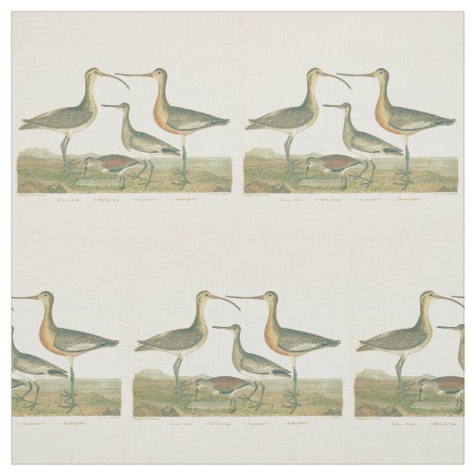 Tissu Oiseaux de marais Courlis Oiseaux (Échantillon)