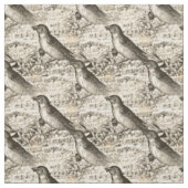 Tissu oiseaux musicaux victoriens (Échantillon)