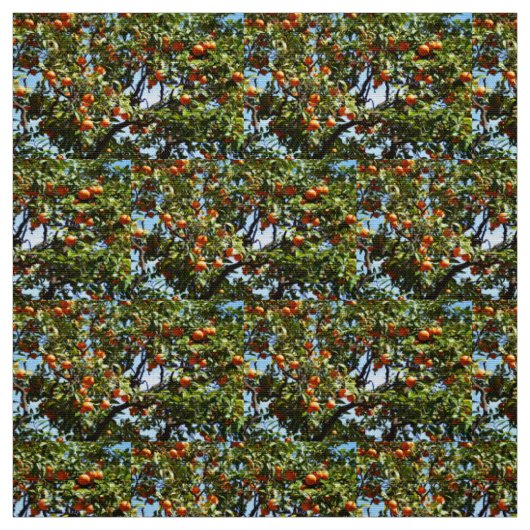 Tissu Oranges (Échantillon)