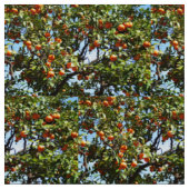Tissu Oranges (Fermer)