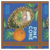 Tissu Oranges de cônes de pin (Fermer)