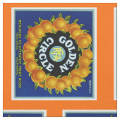 Tissu Oranges du cercle d'or (Fermer)