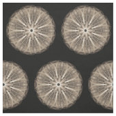 Tissu Organisation (Échantillon)