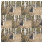 Tissu Orignaux impressionnants de Taureau (Échantillon)