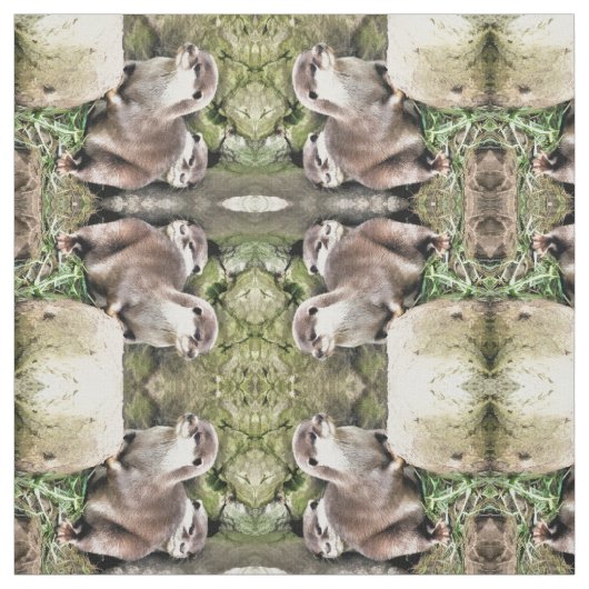 TISSU OTTERS (Échantillon)